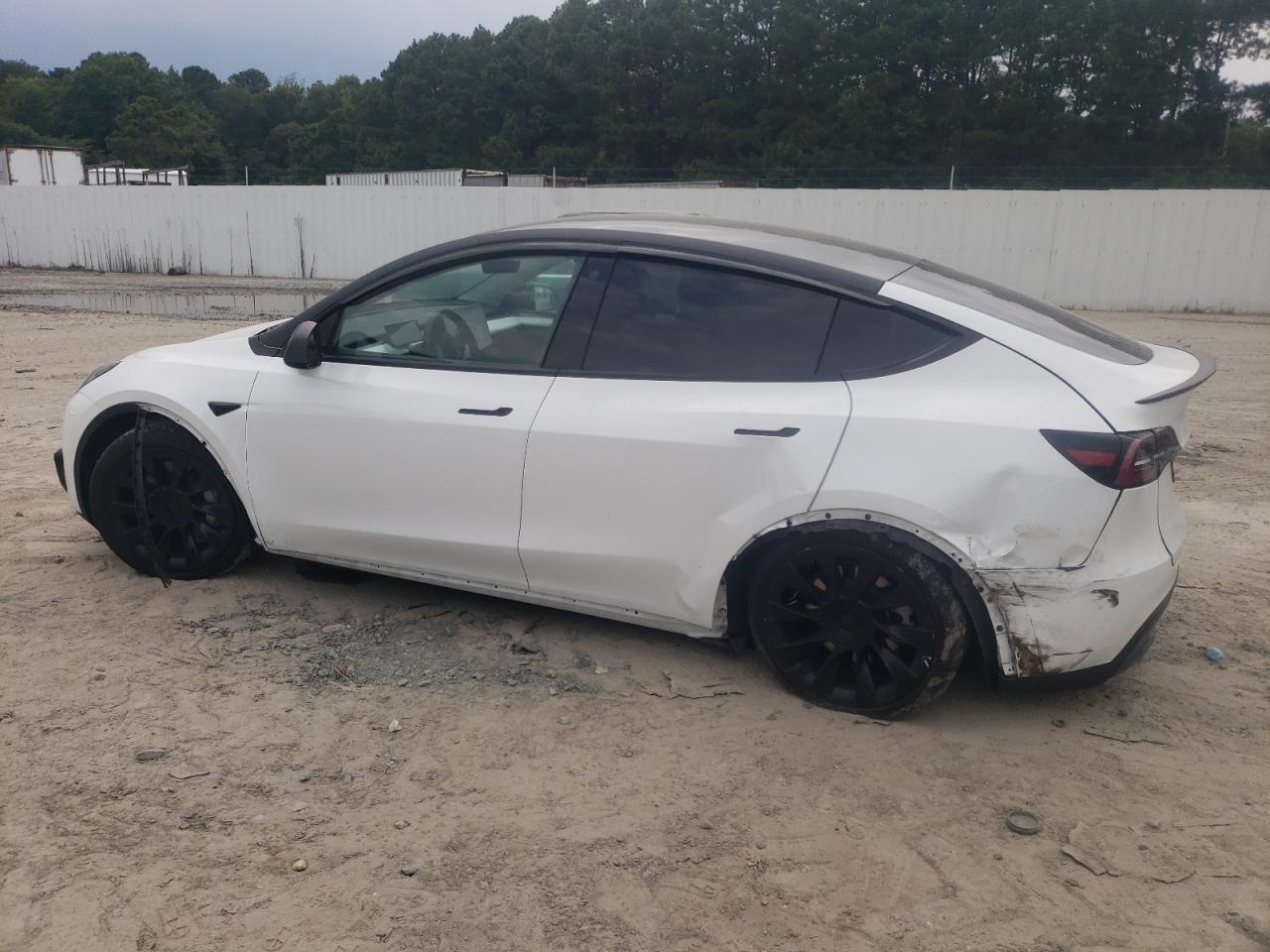 Lot #2935962941 2023 TESLA MODEL Y