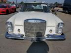 MERCEDES-BENZ 250SE photo