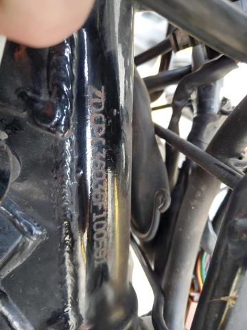 2006 HONDA CB600 F - ZDCPC36036F100591