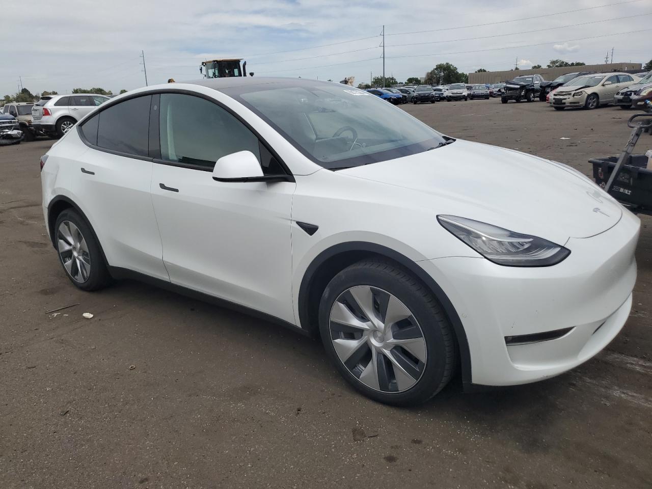 Lot #2926514279 2021 TESLA MODEL Y