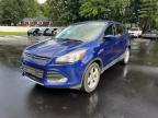 FORD ESCAPE SE photo