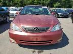 TOYOTA CAMRY LE photo