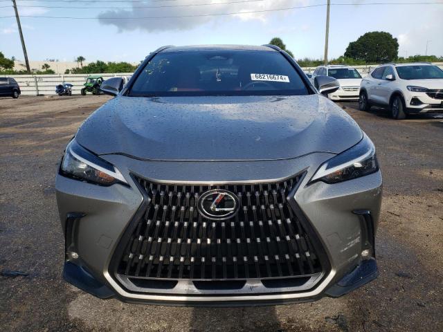 2024 LEXUS NX 250 BAS 2T2ADCAZ6RC007136