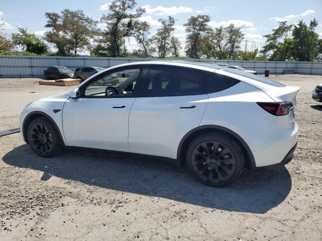 VIN 5YJYGDEE9LF046135 2020 Tesla MODEL Y no.2