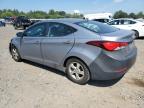 HYUNDAI ELANTRA SE photo