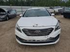 HYUNDAI SONATA SPO photo