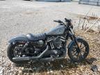 2022 HARLEY-DAVIDSON XL883 N - 1HD4LE219NB408003