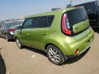 KIA SOUL + photo