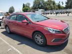 HYUNDAI SONATA SE photo