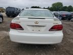 LEXUS ES 330 photo