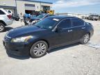 HONDA ACCORD EXL photo