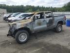 2023 CHEVROLET COLORADO - 1GCGTBEC0P1135939