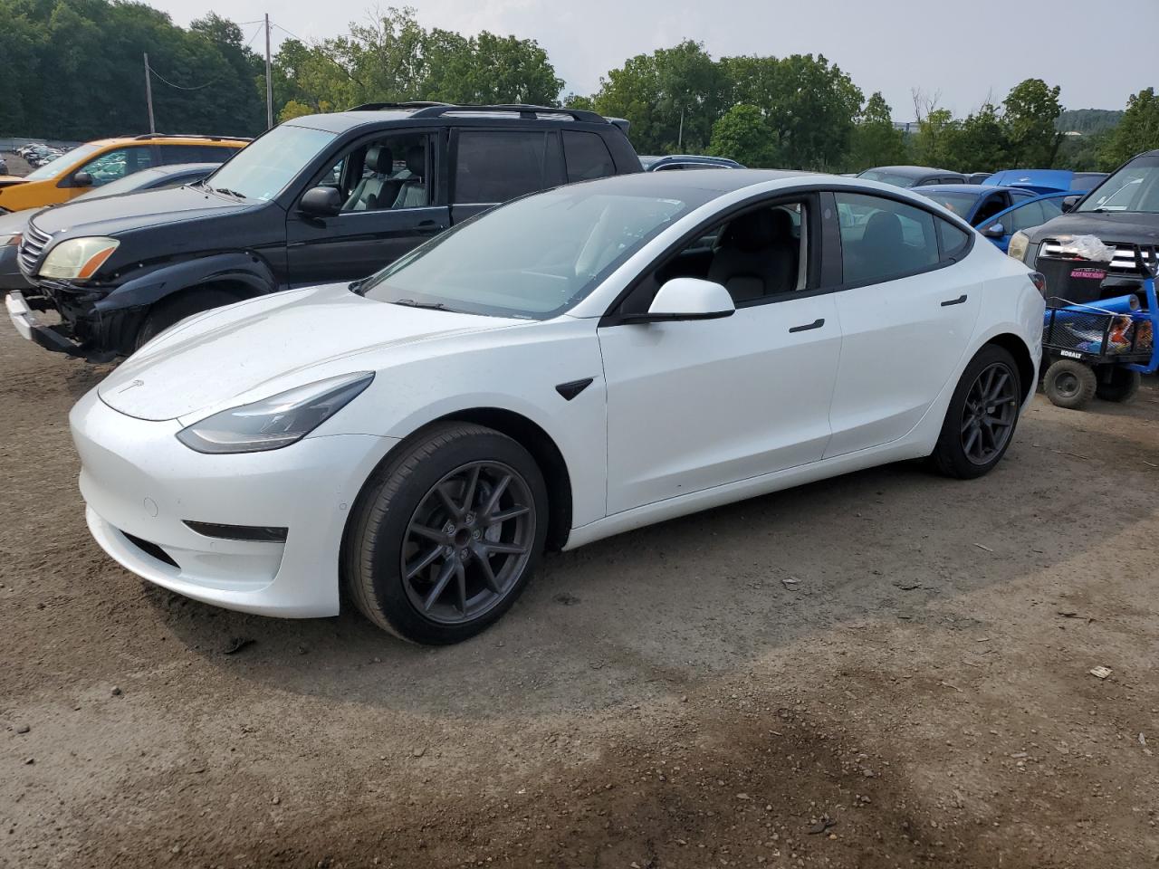 Tesla Model 3 2022 