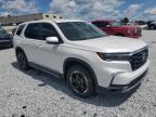 HONDA PILOT EXL photo