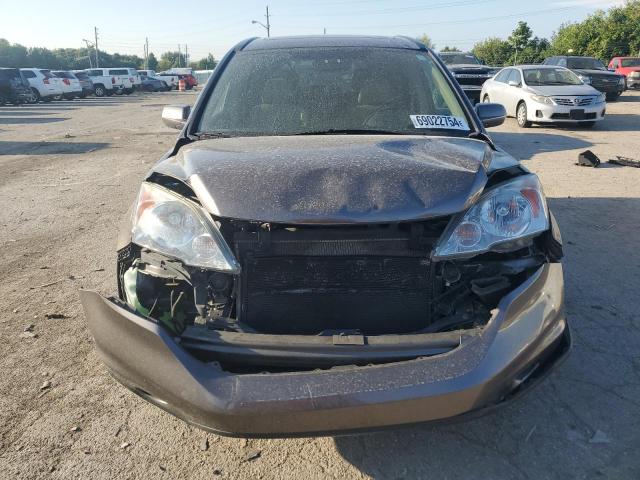 2010 HONDA CR-V EXL 5J6RE4H75AL007800  69022754