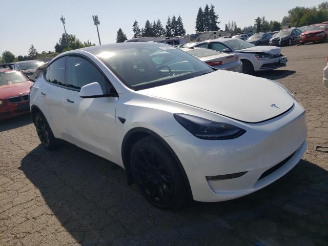 2023 TESLA MODEL Y - 7SAYGDEE4PF835303