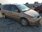 HONDA ODYSSEY EX photo