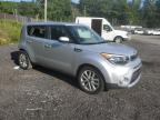 KIA SOUL + photo