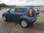 KIA SOUL + photo