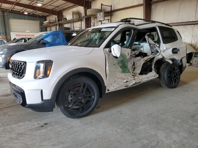 2024 KIA TELLURIDE #3009214424