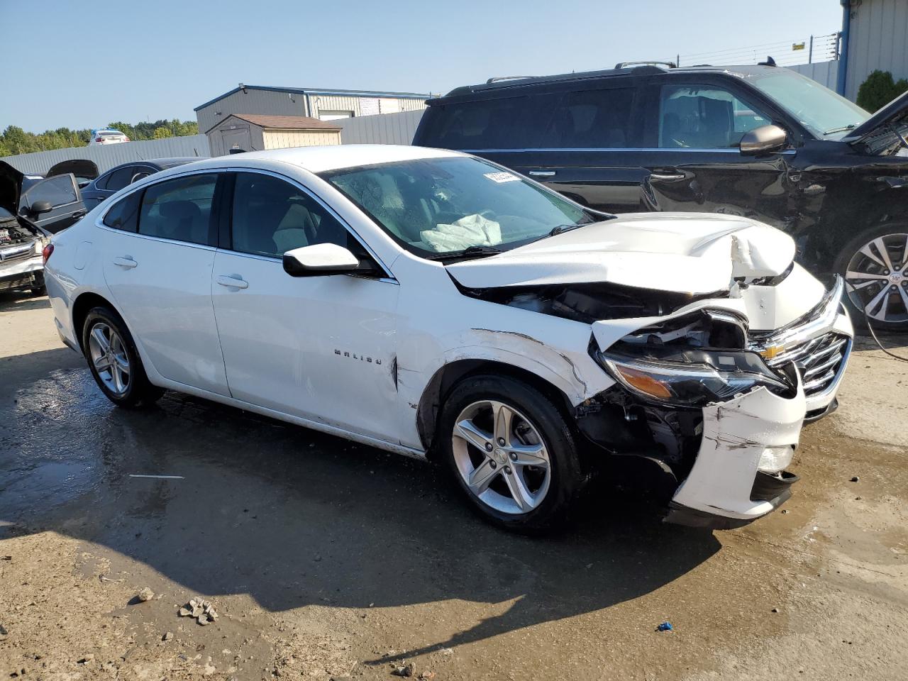 Lot #2974811103 2019 CHEVROLET MALIBU LS