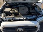 TOYOTA TACOMA DOU photo