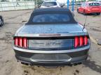 FORD MUSTANG GT photo