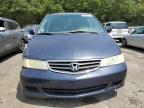 HONDA ODYSSEY EX photo