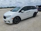 HONDA ODYSSEY EL photo