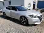 Lot #3025114184 2017 NISSAN MAXIMA 3.5