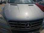 MERCEDES-BENZ ML 350 BLU photo