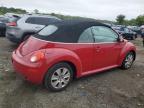 VOLKSWAGEN NEW BEETLE photo