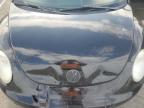 VOLKSWAGEN NEW BEETLE photo