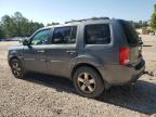 HONDA PILOT EXL photo