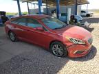 HYUNDAI SONATA SE photo