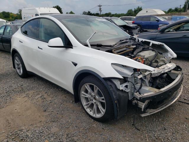 2020 TESLA MODEL Y - 5YJYGDEF9LF005786