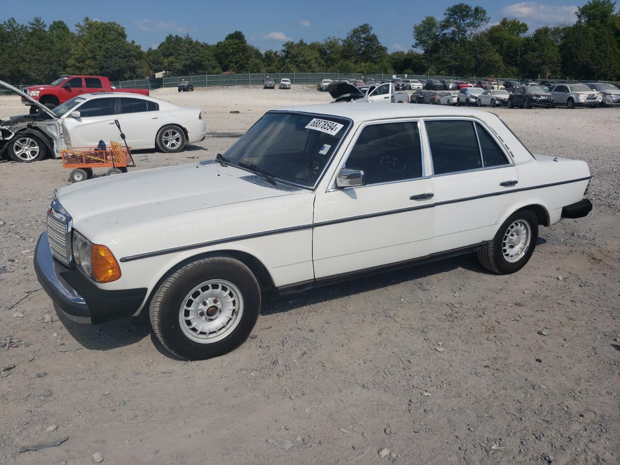 MERCEDES-BENZ 300D 1980 white   WDB12313012192421 photo #1