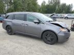 HONDA ODYSSEY EX photo