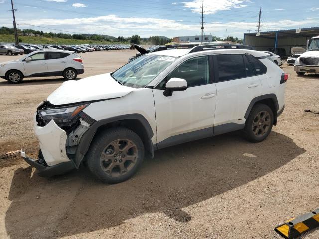 2023 TOYOTA RAV4 WOODL - 2T3UWRFV0PW151482