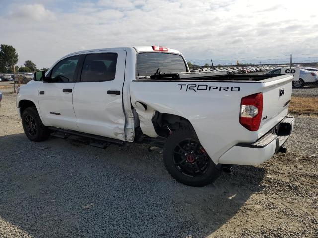 2019 TOYOTA TUNDRA - 5TFDY5F13KX806108