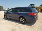 HONDA ODYSSEY EX photo