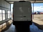 FORD TRANSIT T- photo