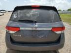 HONDA ODYSSEY LX photo