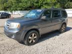 HONDA PILOT EXL photo