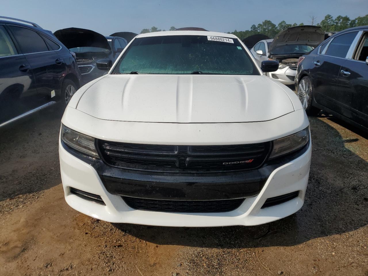 Lot #2969715277 2019 DODGE CHARGER SX