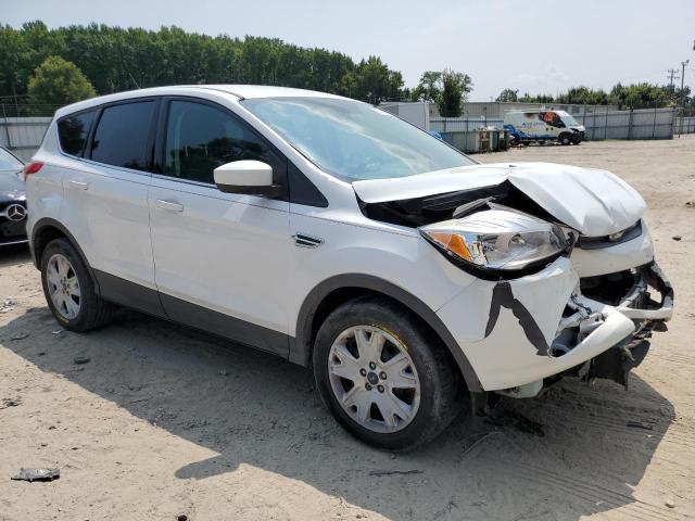 Vin: 1fmcu9gx6euc03981, lot: 67248094, ford escape se 20144