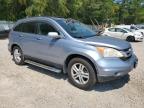 HONDA CR-V EXL photo