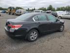 HONDA ACCORD SE photo