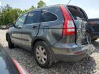 Lot #3008628965 2011 HONDA CR-V SE