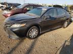 2019 TOYOTA CAMRY LE - 4T1B31HK1KU511543